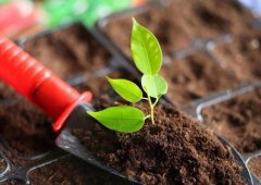 土壤養(yǎng)分檢測(cè)儀的應(yīng)用主要是在哪里？