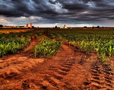 土壤養(yǎng)分分析儀對(duì)土壤有什么作用？